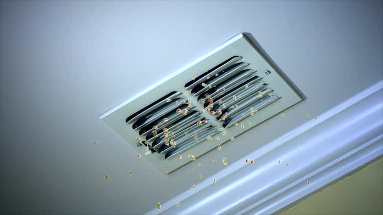 Best Ductwork Cleaning Services  in Haynesville, LA