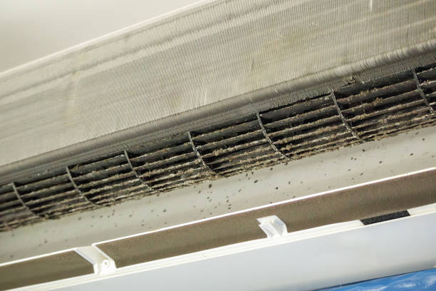 Best Home Air Vent Cleaning  in Haynesville, LA